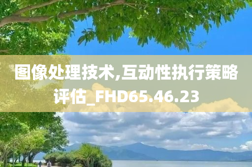 图像处理技术,互动性执行策略评估_FHD65.46.23