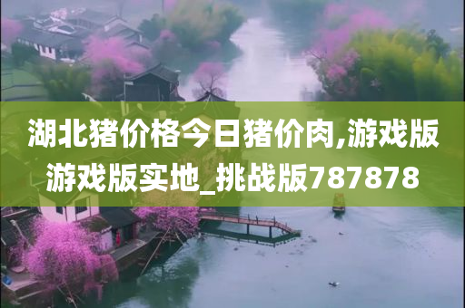 湖北猪价格今日猪价肉,游戏版游戏版实地_挑战版787878