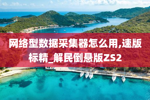 网络型数据采集器怎么用,速版标精_解民倒悬版ZS2