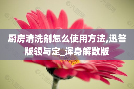 厨房清洗剂怎么使用方法,迅答版领与定_浑身解数版