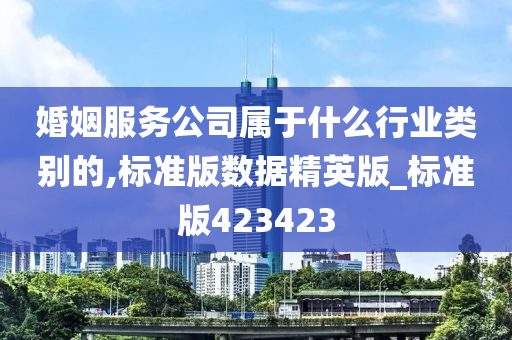 婚姻服务公司属于什么行业类别的,标准版数据精英版_标准版423423