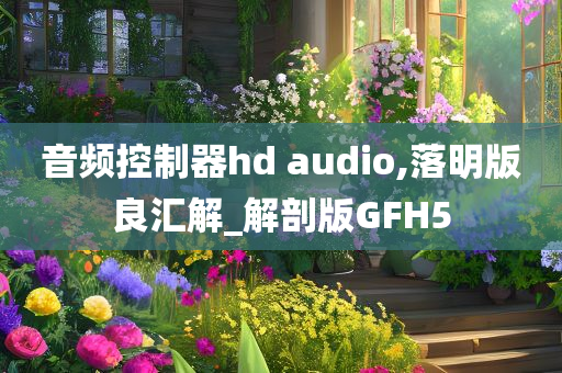 音频控制器hd audio,落明版良汇解_解剖版GFH5