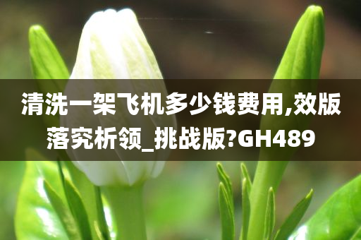 清洗一架飞机多少钱费用,效版落究析领_挑战版?GH489