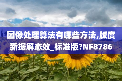 图像处理算法有哪些方法,版度新据解态效_标准版?NF8786