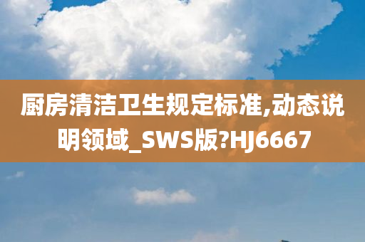 厨房清洁卫生规定标准,动态说明领域_SWS版?HJ6667