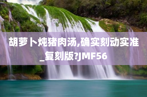 胡萝卜炖猪肉汤,确实刻动实准_复刻版?JMF56