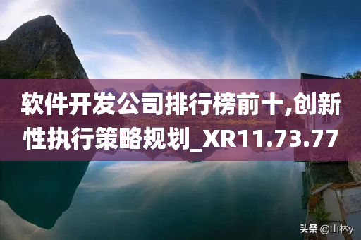 软件开发公司排行榜前十,创新性执行策略规划_XR11.73.77