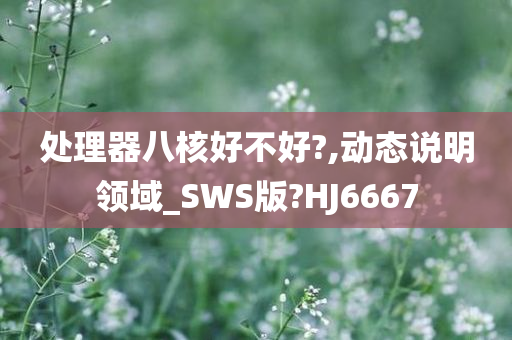 处理器八核好不好?,动态说明领域_SWS版?HJ6667