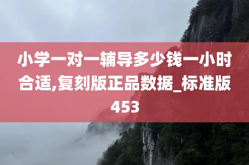 小学一对一辅导多少钱一小时合适,复刻版正品数据_标准版453