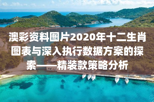 澳彩资料图片2020年十二生肖图表与深入执行数据方案的探索——精装款策略分析