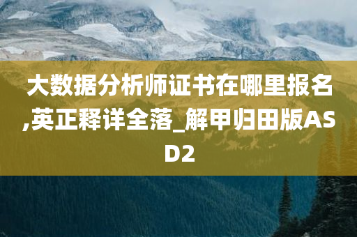 大数据分析师证书在哪里报名,英正释详全落_解甲归田版ASD2