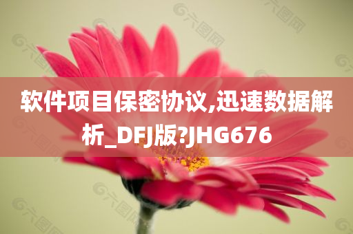 软件项目保密协议,迅速数据解析_DFJ版?JHG676