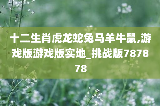 十二生肖虎龙蛇兔马羊牛鼠,游戏版游戏版实地_挑战版787878