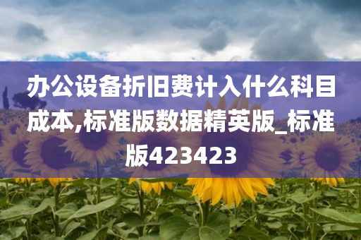 办公设备折旧费计入什么科目成本,标准版数据精英版_标准版423423