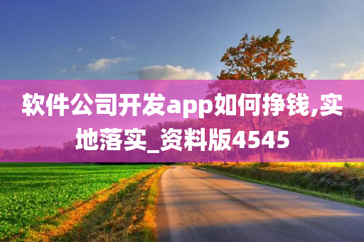 软件公司开发app如何挣钱,实地落实_资料版4545