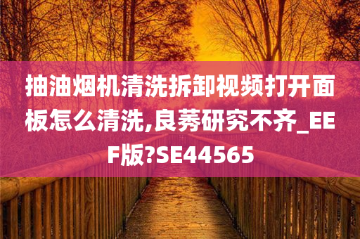 抽油烟机清洗拆卸视频打开面板怎么清洗,良莠研究不齐_EEF版?SE44565