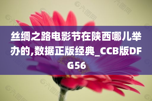 丝绸之路电影节在陕西哪儿举办的,数据正版经典_CCB版DFG56