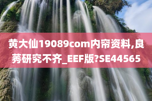 黄大仙19089com内帘资料,良莠研究不齐_EEF版?SE44565