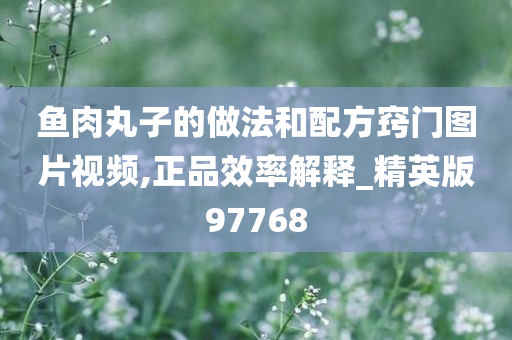 鱼肉丸子的做法和配方窍门图片视频,正品效率解释_精英版97768