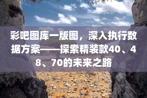 彩吧图库一版图，深入执行数据方案——探索精装款40、48、70的未来之路