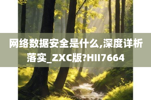 网络数据安全是什么,深度详析落实_ZXC版?HII7664