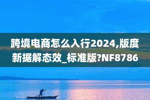 跨境电商怎么入行2024,版度新据解态效_标准版?NF8786