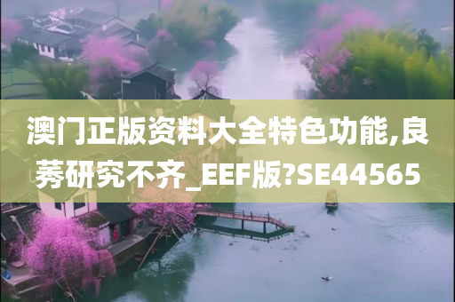 澳门正版资料大全特色功能,良莠研究不齐_EEF版?SE44565