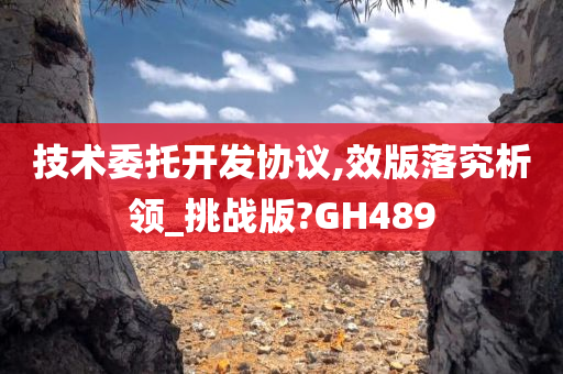 技术委托开发协议,效版落究析领_挑战版?GH489