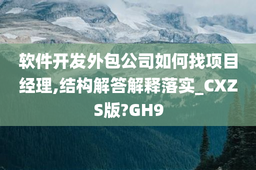 软件开发外包公司如何找项目经理,结构解答解释落实_CXZS版?GH9