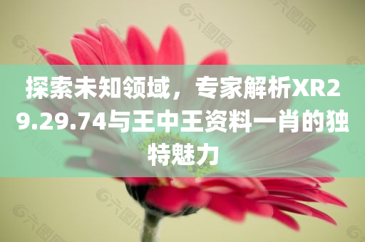 探索未知领域，专家解析XR29.29.74与王中王资料一肖的独特魅力