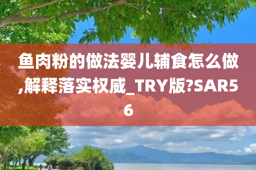 鱼肉粉的做法婴儿辅食怎么做,解释落实权威_TRY版?SAR56