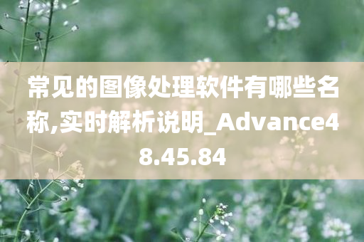 常见的图像处理软件有哪些名称,实时解析说明_Advance48.45.84