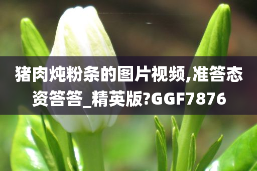 猪肉炖粉条的图片视频,准答态资答答_精英版?GGF7876