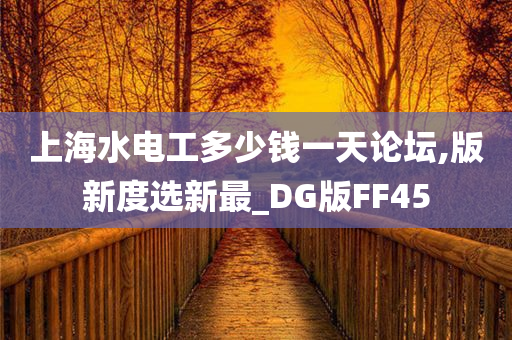 上海水电工多少钱一天论坛,版新度选新最_DG版FF45