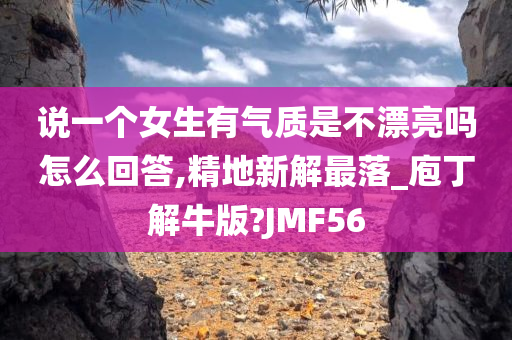 说一个女生有气质是不漂亮吗怎么回答,精地新解最落_庖丁解牛版?JMF56