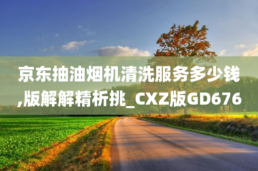 京东抽油烟机清洗服务多少钱,版解解精析挑_CXZ版GD676