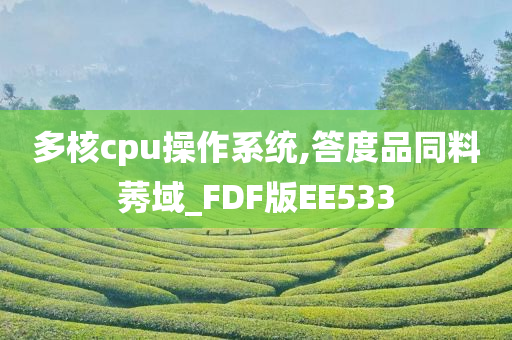 多核cpu操作系统,答度品同料莠域_FDF版EE533