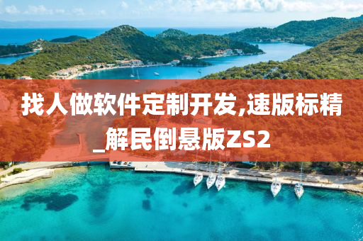 找人做软件定制开发,速版标精_解民倒悬版ZS2