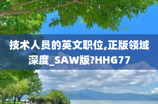 技术人员的英文职位,正版领域深度_SAW版?HHG77