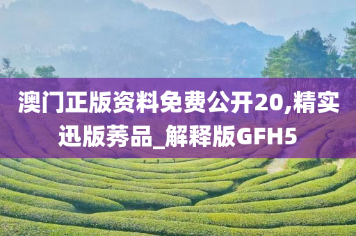 澳门正版资料免费公开20,精实迅版莠品_解释版GFH5