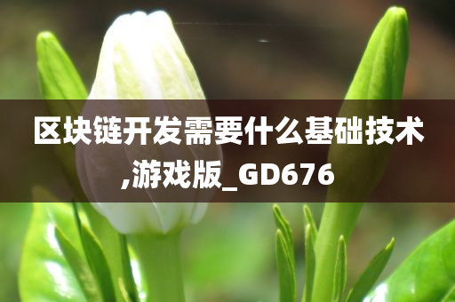 区块链开发需要什么基础技术,游戏版_GD676