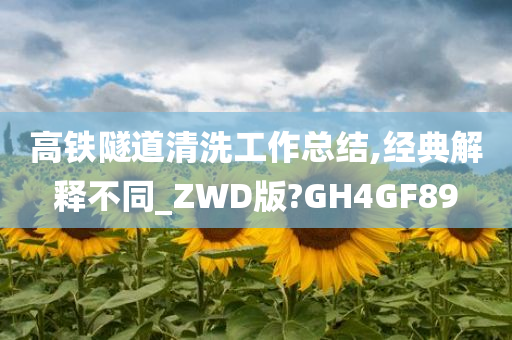 高铁隧道清洗工作总结,经典解释不同_ZWD版?GH4GF89