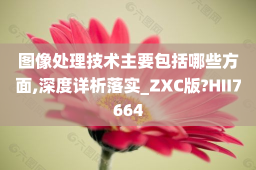 图像处理技术主要包括哪些方面,深度详析落实_ZXC版?HII7664