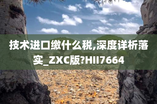 技术进口缴什么税,深度详析落实_ZXC版?HII7664