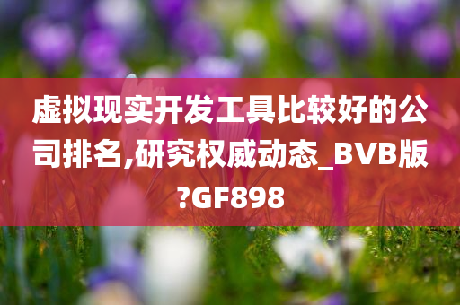 虚拟现实开发工具比较好的公司排名,研究权威动态_BVB版?GF898