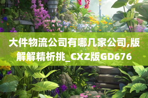 大件物流公司有哪几家公司,版解解精析挑_CXZ版GD676