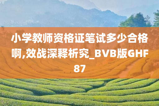 小学教师资格证笔试多少合格啊,效战深释析究_BVB版GHF87