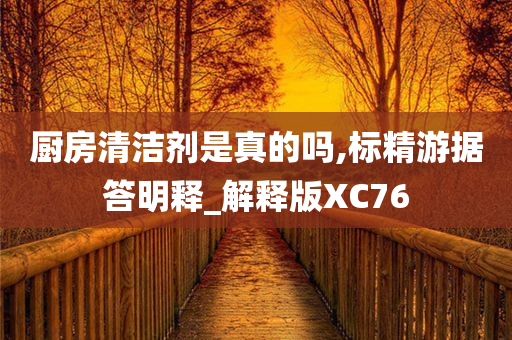 厨房清洁剂是真的吗,标精游据答明释_解释版XC76