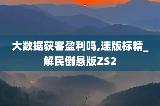 大数据获客盈利吗,速版标精_解民倒悬版ZS2