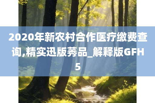 2020年新农村合作医疗缴费查询,精实迅版莠品_解释版GFH5